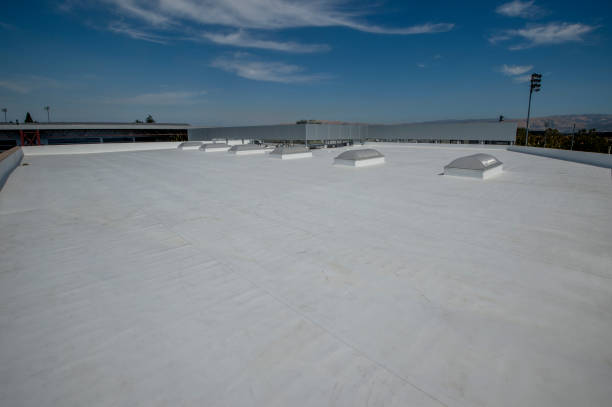 Best Roof Insulation Installation  in Johnston, SC